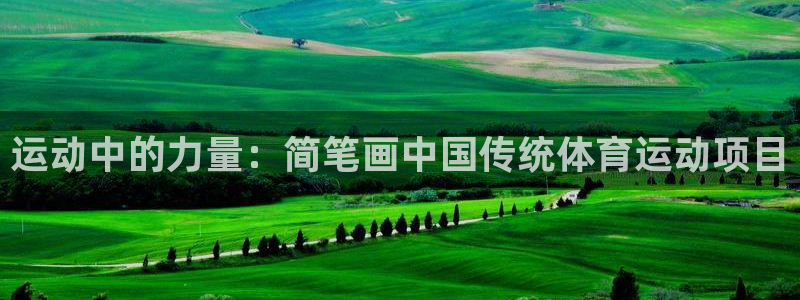 米兰体育网页版登录：运动中的力量：简笔画中国传统体育运动项目
