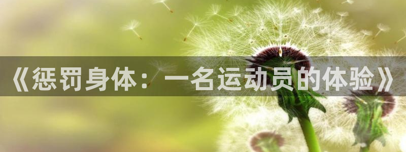 米兰体育.：《惩罚身体：一名运动员的体验》