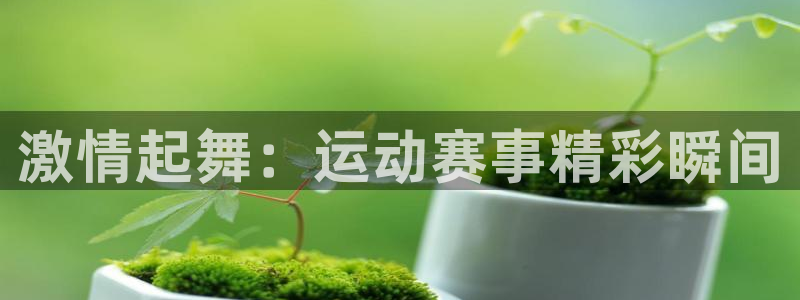 米兰体育.：激情起舞：运动赛事精彩瞬间