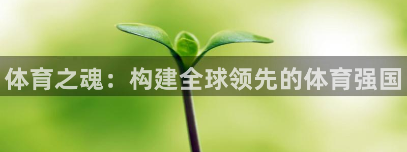 米兰体育报官网：体育之魂：构建全球领先的体育强国